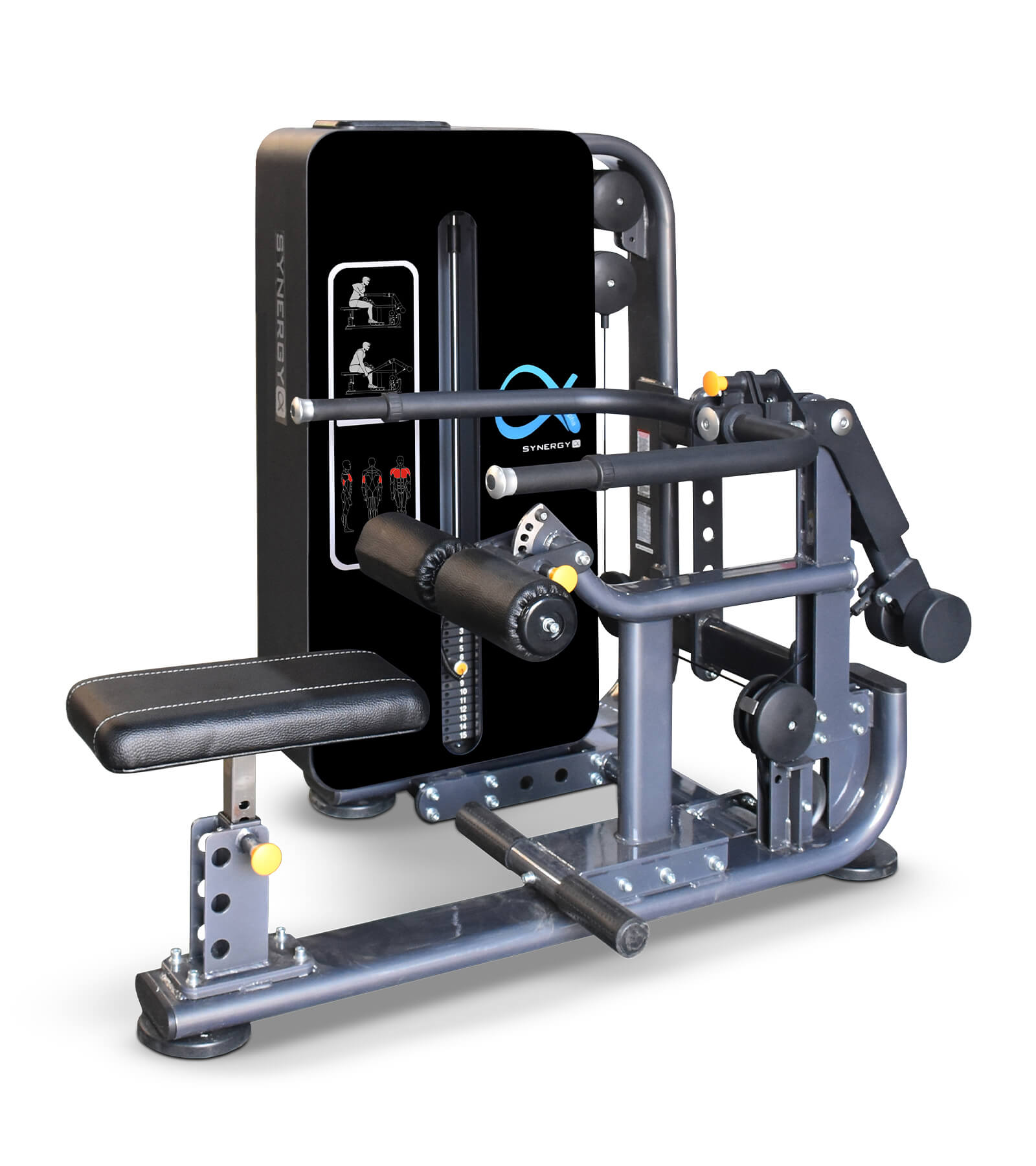 Seated Dip | Alpha Beta