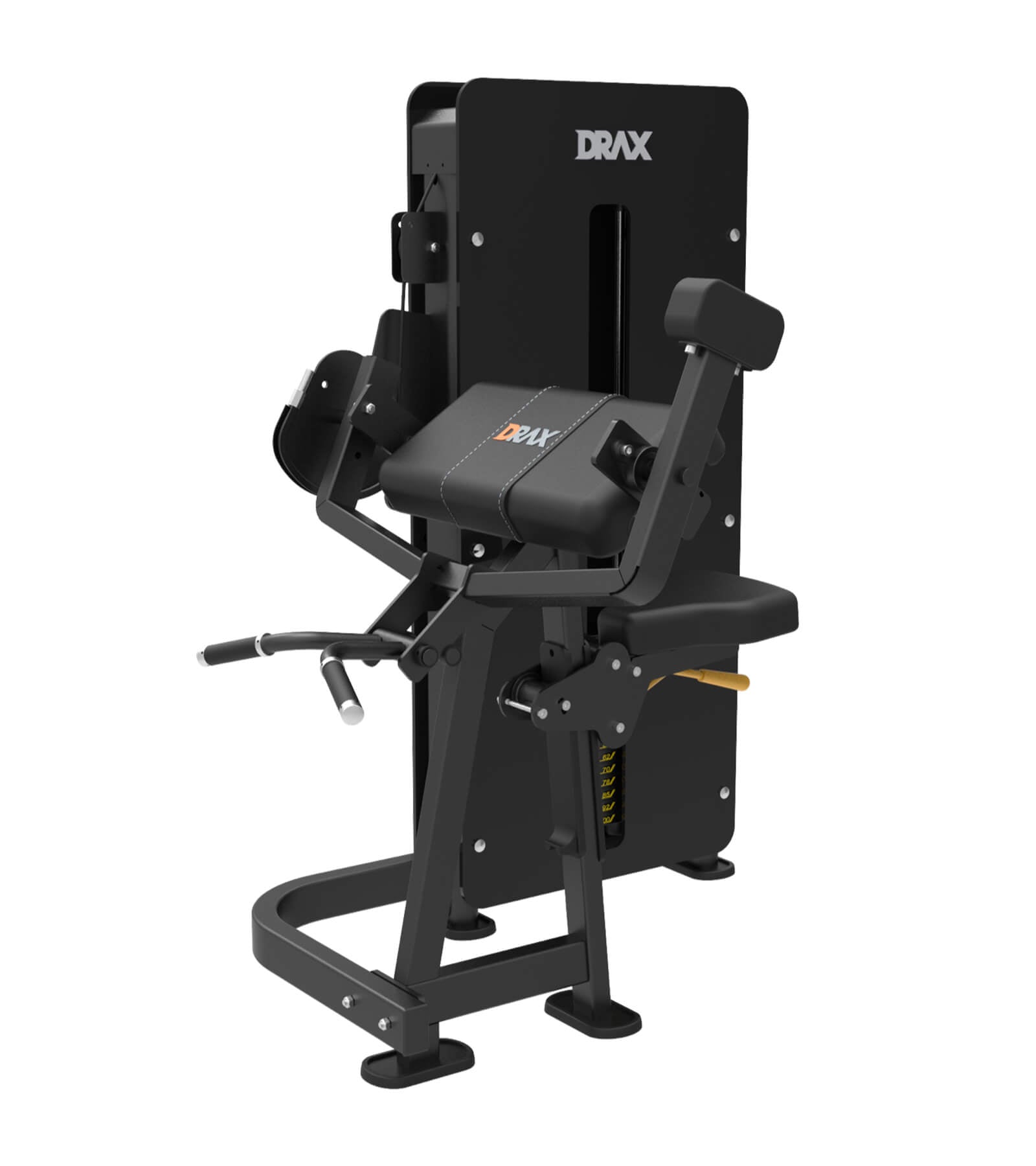 Arm Curl | DRAX Welliv Pro