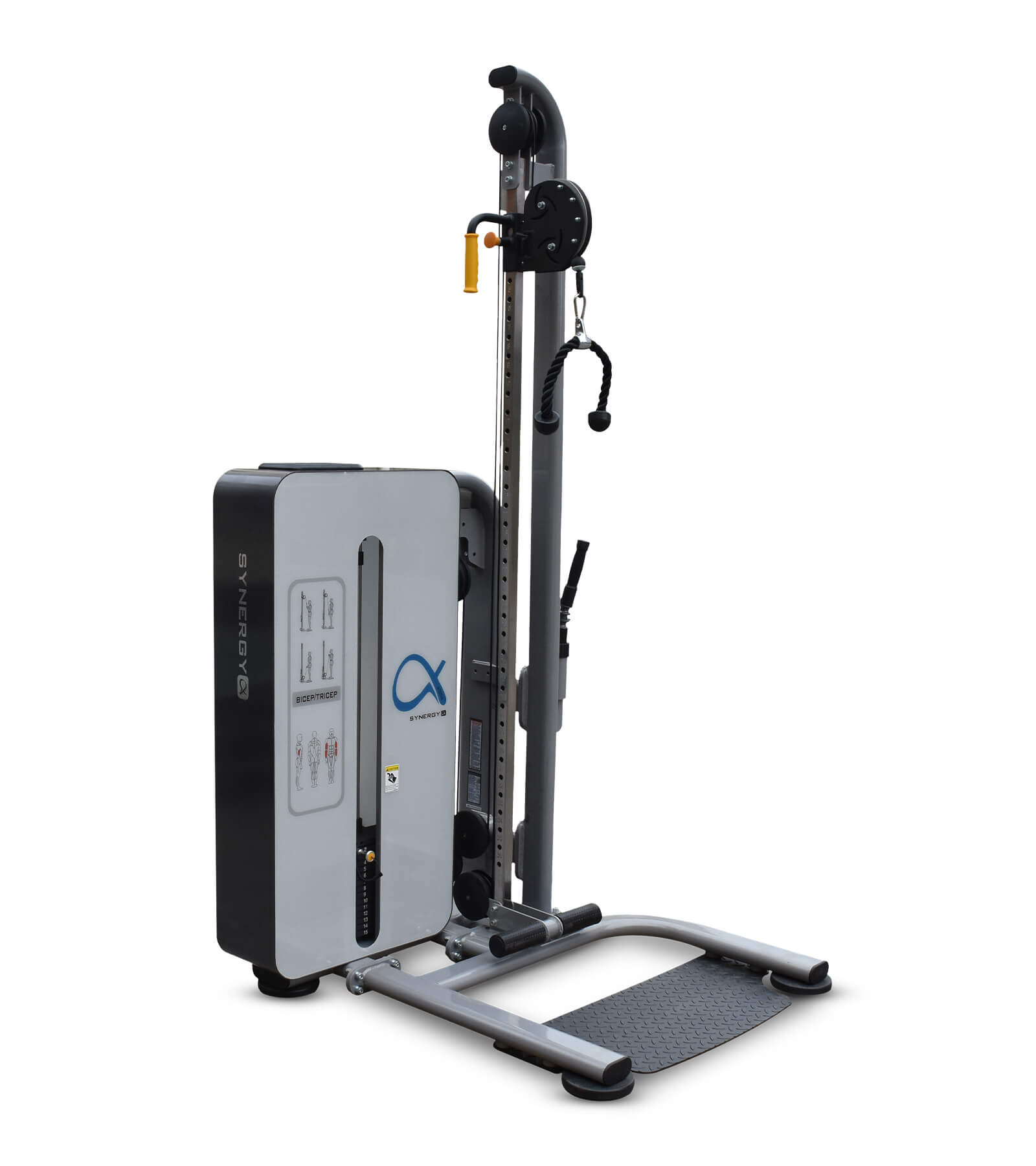 Bicep Tricep | Alpha