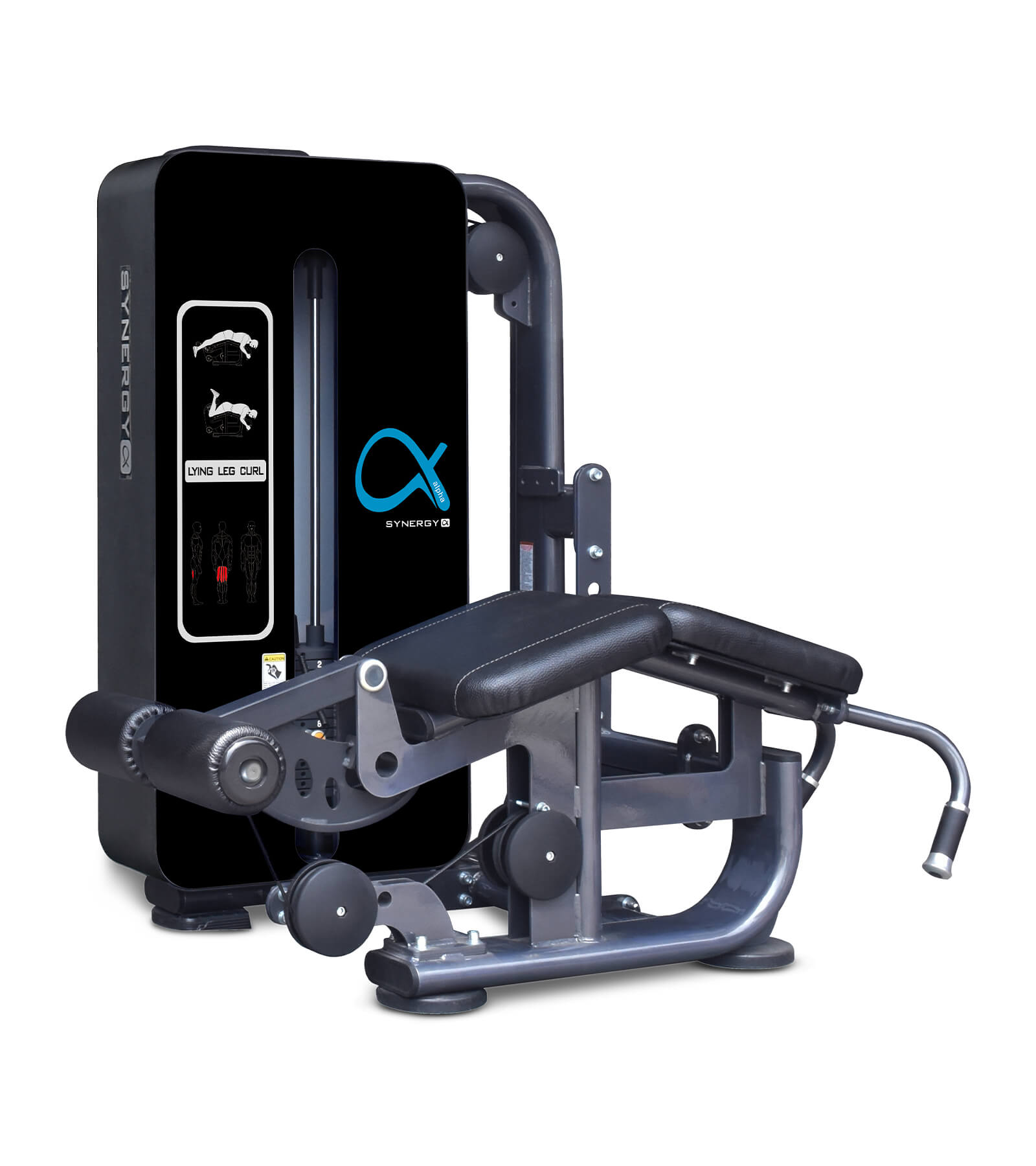 Lying Leg Curl | Alpha