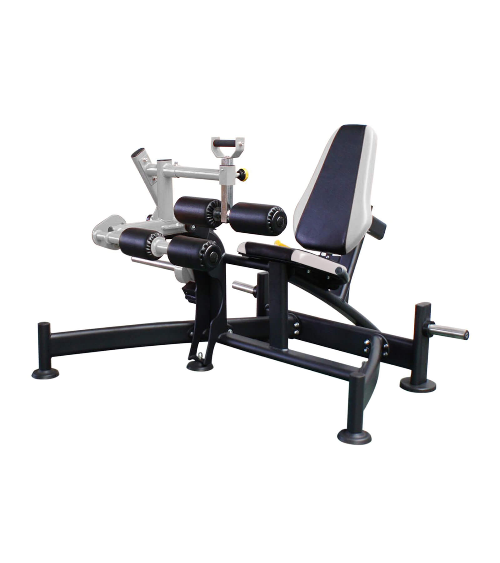 Seated Leg Curl | Evolution Plate